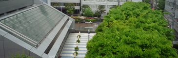 雨か・・・_c0168096_12471329.jpg