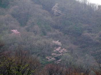 e0140496_2143453.jpg