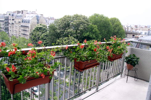 c0090198_582142.jpg