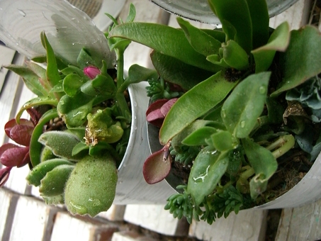 f0237399_17455691.jpg