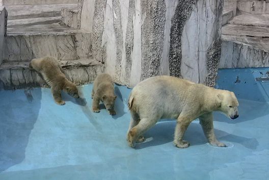 c0155902_20305041.jpg