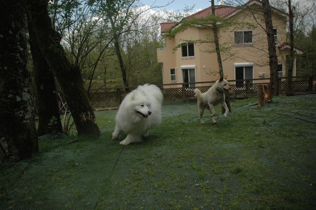 e0018604_2126128.jpg