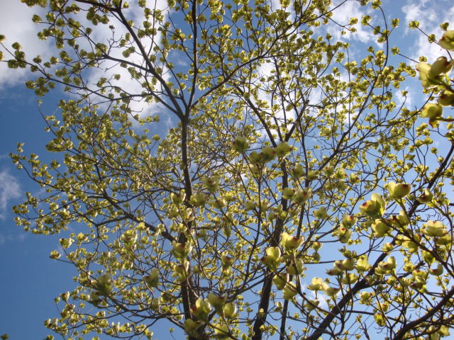 e0175905_211174.jpg