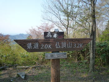 e0070606_2534312.jpg