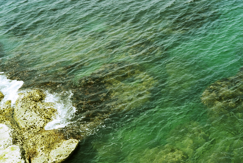 c0191707_2154494.jpg
