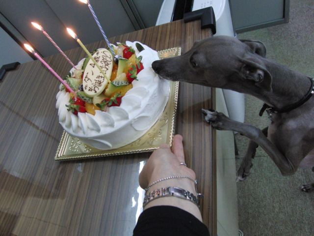 e0141909_22132580.jpg