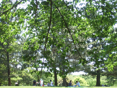 b0093110_072650.jpg
