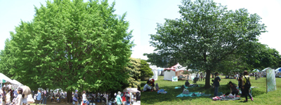 b0093110_073463.jpg