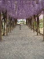お知らせ_d0116910_931386.jpg