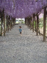 お知らせ_d0116910_93213.jpg