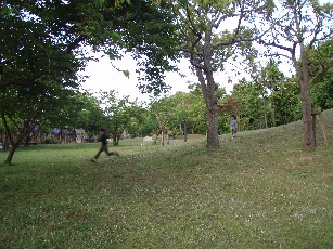 お知らせ_d0116910_9355414.jpg