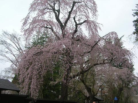 d0036611_11223769.jpg
