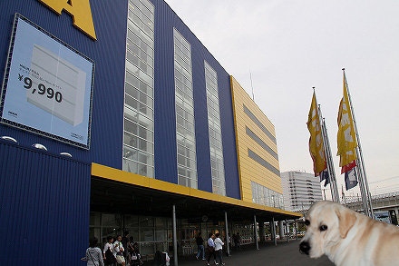 f0191413_1122893.jpg
