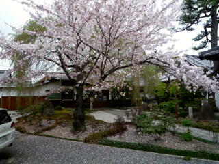 c0170415_1757877.jpg