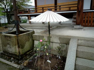 c0170415_182436.jpg