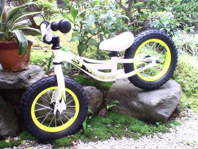 c0100318_8295116.jpg
