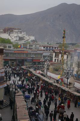 e0114020_7313363.jpg