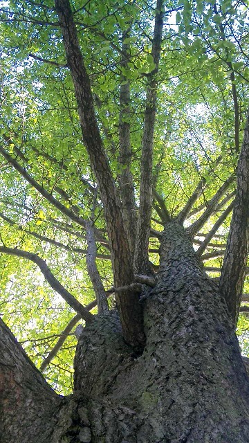 c0128722_1753111.jpg