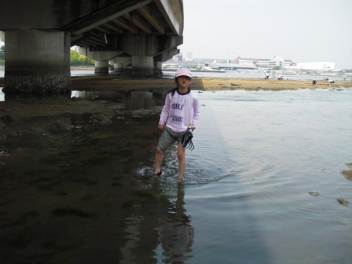 e0050123_1784664.jpg
