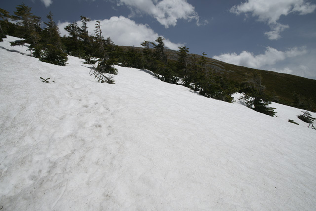 a0068424_22475565.jpg