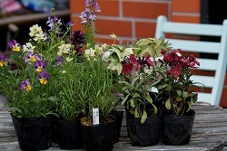 f0170524_18191169.jpg