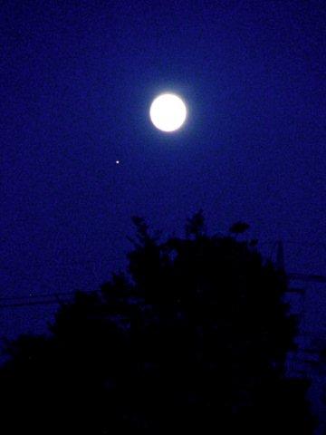 f0077325_16133399.jpg