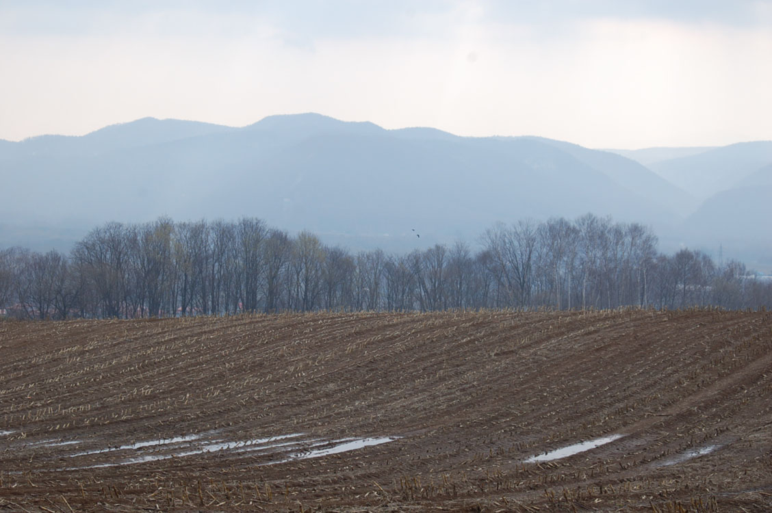 b0142428_0124368.jpg
