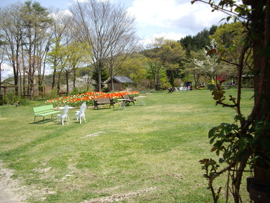 f0113630_827138.jpg