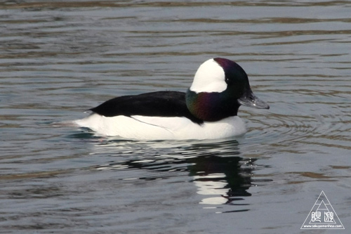 c0211532_050427.jpg