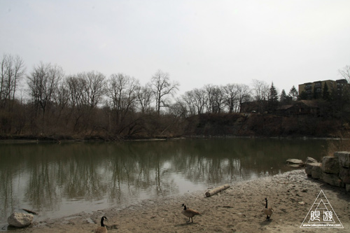 c0211532_051331.jpg