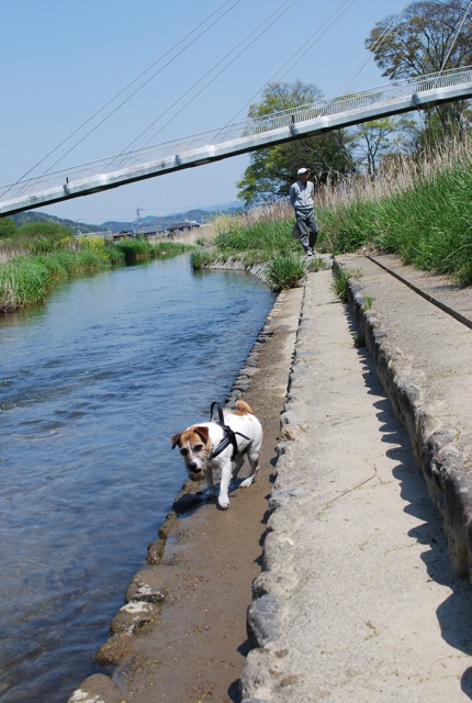 GWのこと_c0099133_051520.jpg