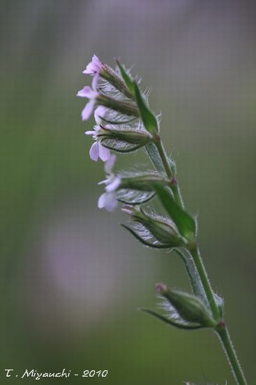 f0005733_13303679.jpg