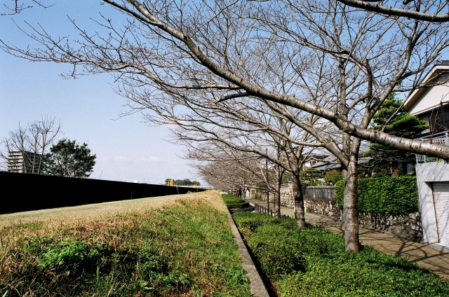e0149335_20482912.jpg