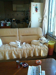 c0212637_0224548.jpg