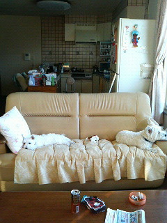 c0212637_022864.jpg