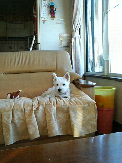 c0212637_0232392.jpg