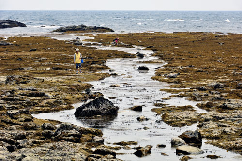 安房小湊。鯛の浦海岸。５_b0143240_1754630.jpg