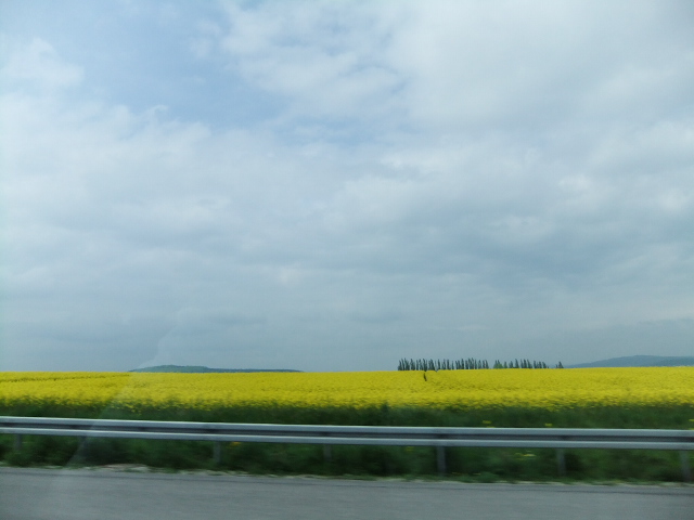 f0210340_18152385.jpg