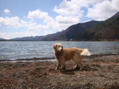 e0158841_1001100.jpg