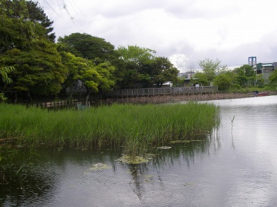 a0137242_1129320.jpg
