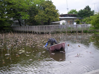 a0137242_11331653.jpg