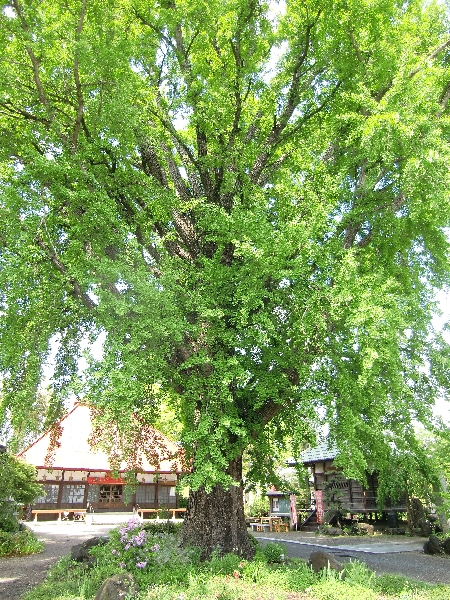 c0122445_20405365.jpg