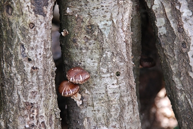 e0126046_2354440.jpg