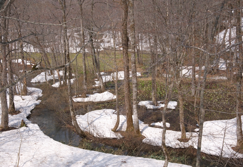b0147449_18594182.jpg