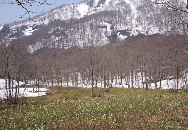 b0147449_1912897.jpg