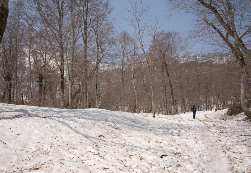 b0147449_1921736.jpg