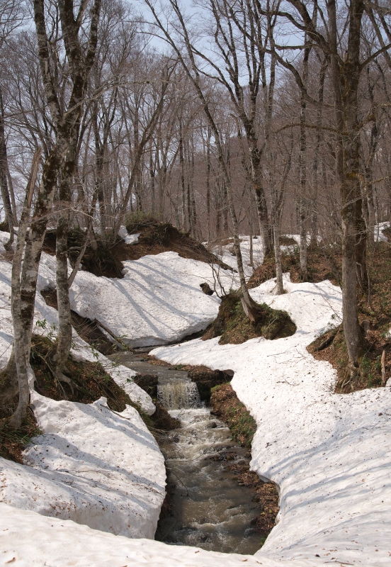 b0147449_194248.jpg