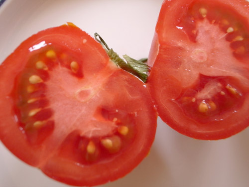 トマトから種をとってみた ベランダ菜園１年生