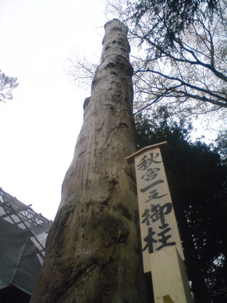f0051256_0592784.jpg