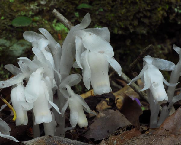 e0035757_20335181.jpg